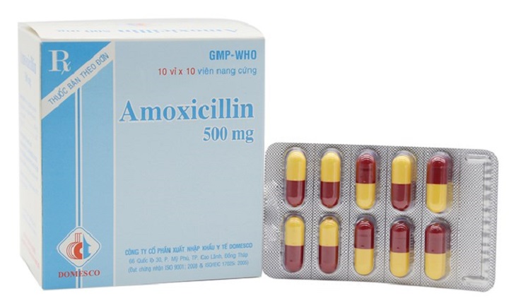 Thuốc kháng sinh Amoxicillin